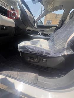 جيتور داشينج